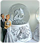 accesorii nunta de argint