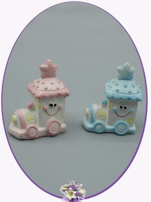 Marturii botez mini locomotive